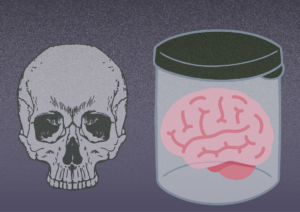 骸骨　脳髄のホルマリン漬け